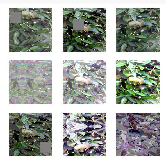 Uploaded: 22-JAN-2023
Image Classification
Label Efficiency
Contrastive Learning
Pre-training
Tensorflow
Keras
Github
Nbviewer
Colab