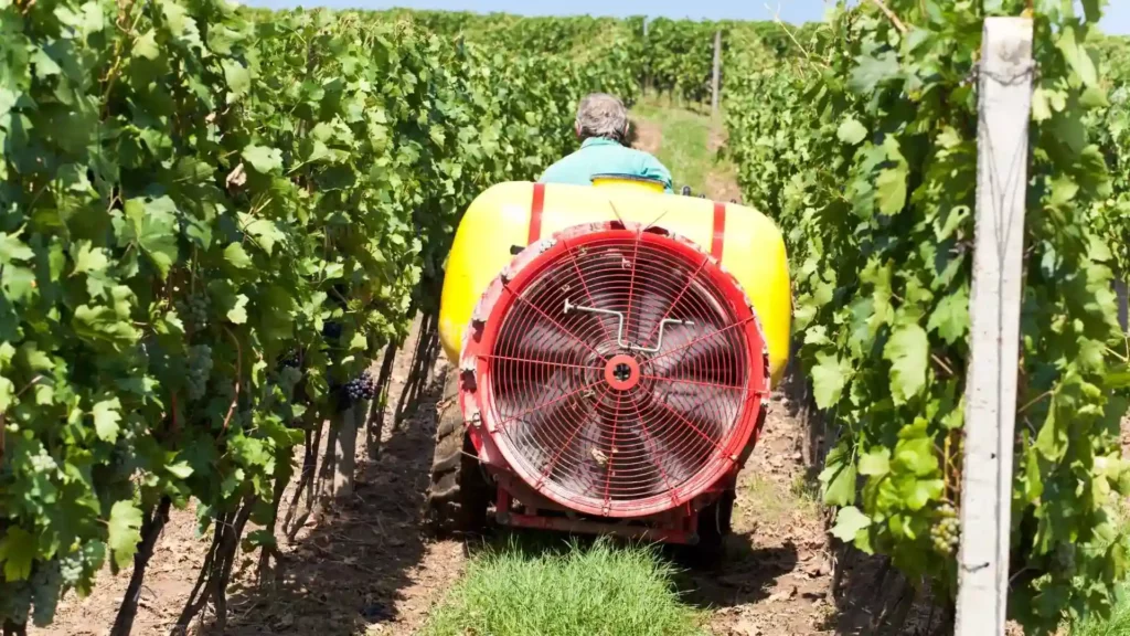 Tractor and spraying machine in an apple orchard